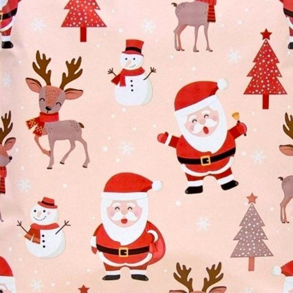 Christmas Santa & Reindeer Poly Mailers Holiday Shipping Bags Nwt - Picture 3 of 3